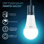 Лампа светодиодная LED 16 Вт 1520 лм 4100К А60 груша нейтральный E27 AC 220В Black Gauss
