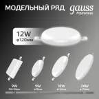 Светильник светодиодный ДВО 12 Вт 1200 лм 4000К AC 220В IP20 круг D120х27мм монт d106мм Пластик безрамочный Frameless Gauss
