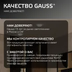 Светильник светодиодный ДВО 12 Вт 1200 лм 4000К AC 220В IP20 круг D120х27мм монт d106мм Пластик безрамочный Frameless Gauss
