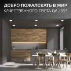 Светильник светодиодный ДВО 12 Вт 1200 лм 4000К AC 220В IP20 круг D120х27мм монт d106мм Пластик безрамочный Frameless Gauss