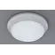 Светильник светодиодный ДПБ-01-ПП-24-WH-3К-IP65-SNR