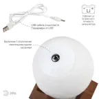 Светильник настольный NLED-490-1W-W белый | Б0043092 | ЭРА