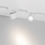 Светильник MAG-VIBE-POINT-R75-10W Warm3000 (WH, 24 deg, 48V) (Arlight, IP20 Металл, 5 лет)