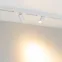 Светильник светодиодный трековый MAG-SPOT-25-R65-5W Warm3000 (WH, 30 deg, 24V) (ARL, IP20 металл, 5 лет)