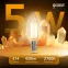Лампа светодиодная филаментная LED 5 Вт 420 лм 2700К свеча теплый E14 AC 220В прозрачная колба Black Filament Gauss