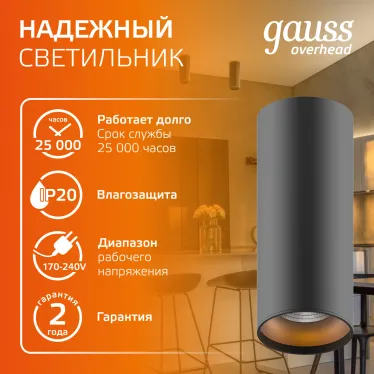 Светильник светодиодный ДБО 12 Вт 900 лм 3000К AC 220В Черный IP20 D200х200мм Алюминий Overhead Gauss