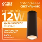 Светильник светодиодный ДБО 12 Вт 900 лм 3000К AC 220В Черный IP20 D200х200мм Алюминий Overhead Gauss