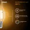 Лампа светодиодная филаментная LED 9 Вт 680 лм 2700К свеча на ветру теплый E14 AC 220В прозрачная колба Black Filament Gauss