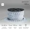 Дюралайт LED, свечение с динамикой 3W - белый Эконом 24 LED/м, 100 м