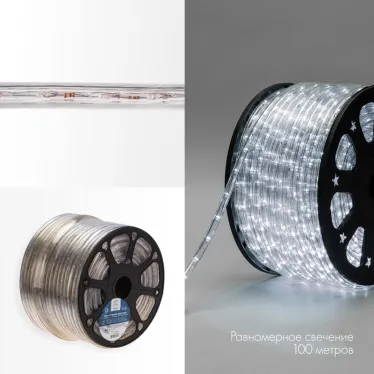 Дюралайт LED, свечение с динамикой 3W - белый Эконом 24 LED/м, 100 м