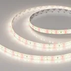 Лента FITOLUX-SE-A144-10mm 24V Day5000-Red (14 W/m, IP65, 2835, 5m) (, 14 Вт/м, IP65)