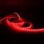 Лента светодиодная LED 2835/60-SMD 4.8 Вт/м 210 лм/м Красный DC 12В IP66 8мм (блистер 5м) Black Gauss