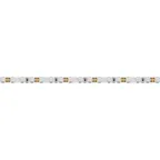 Лента светодиодная RT 2-5000 12V Blue 5mm 2x (3528, 600 LED, LUX) | 015004(1) | Arlight