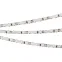 Лента светодиодная RT 2-5000 12V Blue 5mm 2x (3528, 600 LED, LUX) | 015004(1) | Arlight