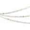 Лента RTW-SE-B60-10мм 24V RGBW-Warm (14.4 W/m, IP65, 5060, 5м) (Открытый)