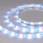 Лента RTW-SE-B60-10мм 24V RGBW-Warm (14.4 W/m, IP65, 5060, 5м) (Открытый)