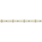 Лента RT-A168-10мм 24V Warm3000 CRI98 (17 W/m, IP20, 2835, 5м) (Открытый)