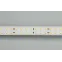 Лента светодиодная RT 2-5000 24V Warm2700 2x2 (2835, 980 LED, CRI98) | 025153 | Arlight