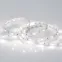 Лента светодиодная RT 2-5000 12V Day4000 (5060, 150 LED, LUX) | 011570(B) | Arlight