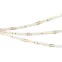 Лента DOT-X128-8mm 24V Day4000 (11 W/m, IP20, 5m) (Arlight, Открытый)
