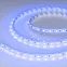 Лента RT-B60-10mm 24V Blue (14.4 W/m, IP20, 5m) (Arlight, Открытый)