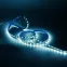Лента светодиодная LED 2835/60-SMD 4.8 Вт/м 210 лм/м 6000К DC 12В IP20 8мм комплект лента и драйвер (блистер 5м) Black Gauss