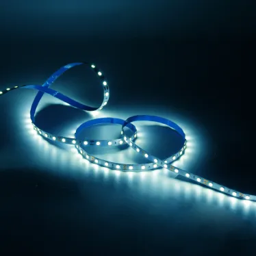 Лента светодиодная LED 2835/60-SMD 4.8 Вт/м 210 лм/м 6000К DC 12В IP20 8мм комплект лента и драйвер (блистер 5м) Black Gauss