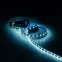 Лента светодиодная LED 2835/60-SMD 4.8 Вт/м 210 лм/м 6000К DC 12В IP20 8мм комплект лента и драйвер (блистер 5м) Black Gauss