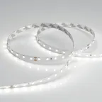 Лента светодиодная RT-A80-8mm 24V Day5000 (6 W/m, IP20, 2835, 5m) (arlight, высок.эфф.150 лм/Вт) | 024511(2) | Arlight
