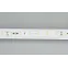 Лента светодиодная RT-20000 24V White6000 (3528, 60 LED/m, 20m) | 025009 | Arlight