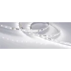 Лента светодиодная RT-20000 24V White6000 (3528, 60 LED/m, 20m) | 025009 | Arlight