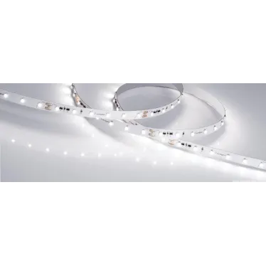 Лента светодиодная RT-20000 24V White6000 (3528, 60 LED/m, 20m) | 025009 | Arlight