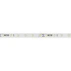 Лента светодиодная RT-20000 24V White6000 (3528, 60 LED/m, 20m) | 025009 | Arlight