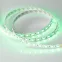 Лента LED RT-B60-12mm 24V RGBW-Day-4-in-1 (19.2 W/m, IP20, 5060, 5m) (ARL, Открытый)