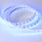 Лента LED RT-B60-12mm 24V RGBW-Day-4-in-1 (19.2 W/m, IP20, 5060, 5m) (ARL, Открытый)