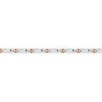 Лента светодиодная RS 2-5000 24V White6000 2x2 8mm (3014, 240 LED/m, LUX) | 024462 | Arlight