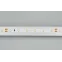 Лента светодиодная RT 2-5000 24V Warm2700 (3528, 300 LED, CRI98) | 021414(1) | Arlight