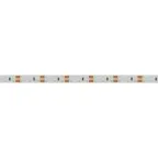 Лента светодиодная RTW 2-5000SE 12V Blue 2x (3528, 600 LED,LUX) | 014798(1) | Arlight