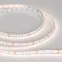 Лента светодиодная MICROLED-M240-8mm 24V White-CDW (9.6 W/m, IP20, 2216, 5m) (arlight, Открытый) | 024507(2) | Arlight