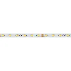 Лента светодиодная RT 6-5000 24V White-MIX-One 2x (5060, 60 LED/m, LUX) | 025214 | Arlight