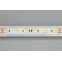 Лента светодиодная RT 6-5000 24V White-MIX-One 2x (5060, 60 LED/m, LUX) | 025214 | Arlight