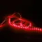 Лента светодиодная LED 2835/60-SMD 4.8 Вт/м 210 лм/м Красный DC 12В IP20 8мм (ZIP bag 5м) Elementary Gauss