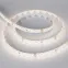 Лента LED герметичная RTW-SE-A98-8mm 24V Day4000 (10 W/m, IP65, 2835, 5m) (ARL, -)
