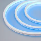 Гибкий неон ARL-MOONLIGHT-1213-TOP 24V RGB-Day (arlight, 14.4 Вт/м, IP67) | 029808 | Arlight