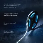 Лента светодиодная 24В SMD2835 9,6Вт/м 120LED/м 6500K 10мм 5м IP20