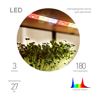 Светодиодная лента для растений полного спектра 3м IP65 с адаптером 12V FITO-Strip Light-Rа90-27W-3m-12V-IP65 ЭРА