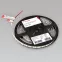 Лента RT-B60-10мм 24V Day4000 CRI98 (14.4 W/m, IP20, 5060, 5м) (Открытый)
