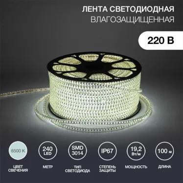 Лента LED уличная 220В, 6.5x15мм, IP67, SMD 3014, 240 LED/м, белый, 100м