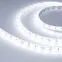 Лента светодиодная RTW 2-5000SE 12V Cool 2x (5060, 300 LED, LUX) | 016845(1) | Arlight
