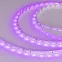 Лента светодиодная RT-A60-8mm 12V Pink (4.8 W/m, IP20, 2835, 5m) (arlight, 4.8 Вт/м, IP20) | 013571(2) | Arlight